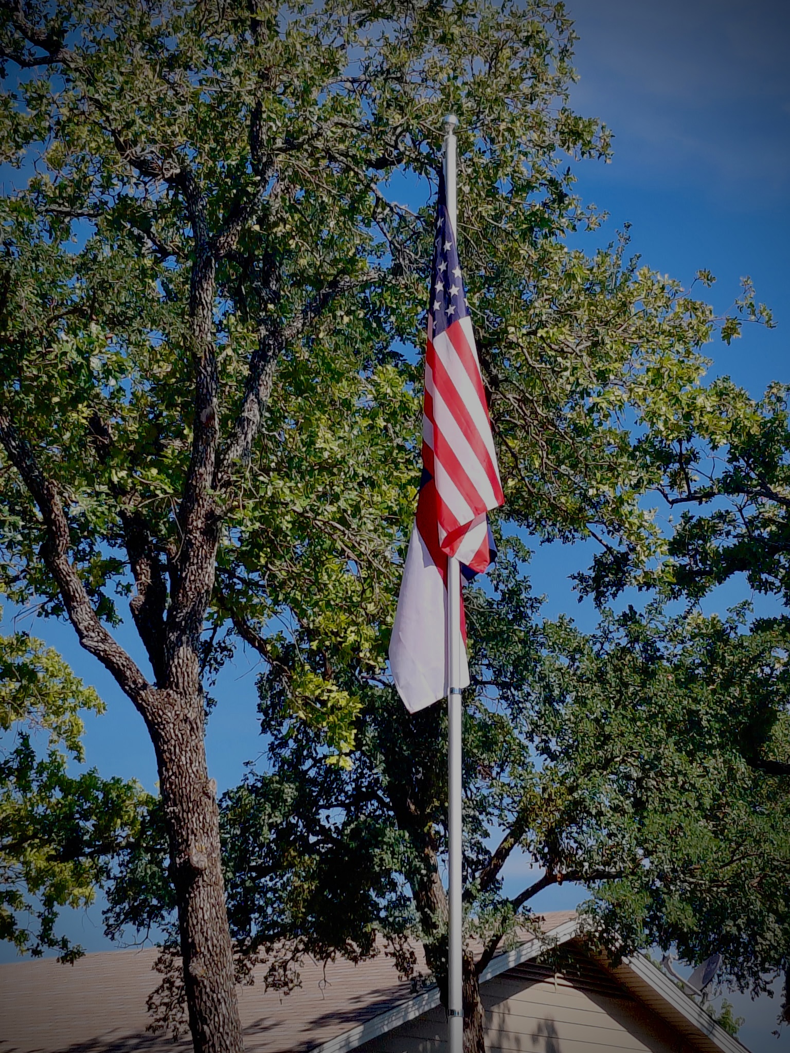 The American flag flying beside a tall oak under blue Texas sky